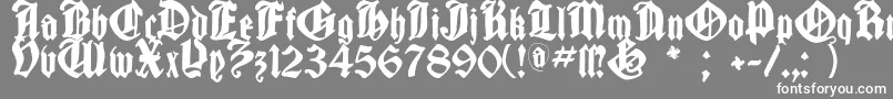 フォントCantaragotica – 灰色の背景に白い文字