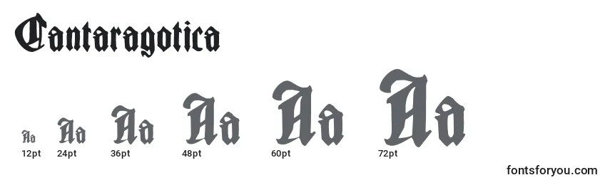 Cantaragotica Font Sizes