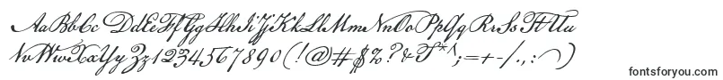 Шрифт AmericanScribe – шрифты для логотипов