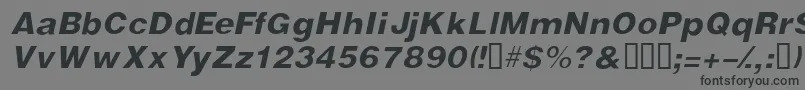 フォントVivassskItalic – 黒い文字の灰色の背景