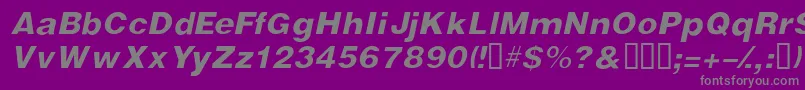 More about VivassskItalic Font VivassskItalic Font – Gray Fonts on Purple Background