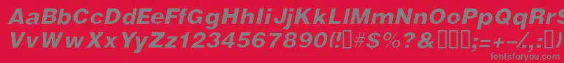 VivassskItalic Font – Gray Fonts on Red Background