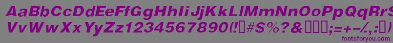 フォントVivassskItalic – 紫色のフォント、灰色の背景