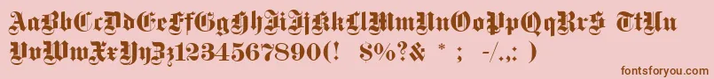 Dsfettegotisch Font – Brown Fonts on Pink Background