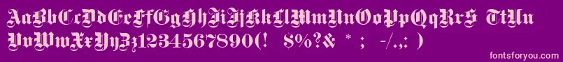 Dsfettegotisch Font – Pink Fonts on Purple Background