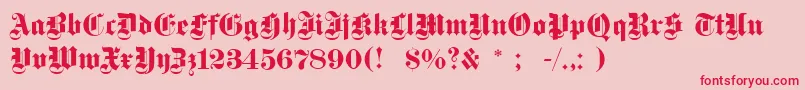 Dsfettegotisch Font – Red Fonts on Pink Background