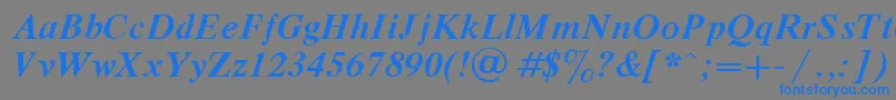 DutchBoldItalic Font – Blue Fonts on Gray Background