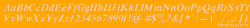 DutchBoldItalic Font – Pink Fonts on Orange Background