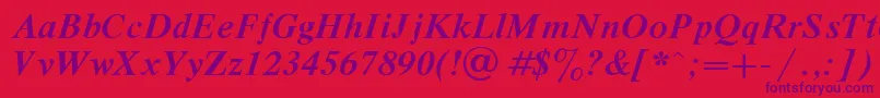 DutchBoldItalic Font – Purple Fonts on Red Background