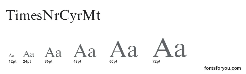 TimesNrCyrMt Font Sizes