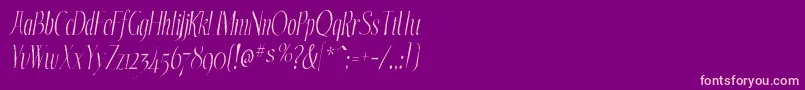 EchelongauntItalic Font – Pink Fonts on Purple Background