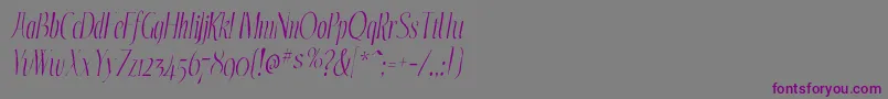 Шрифт EchelongauntItalic – фиолетовые шрифты на сером фоне
