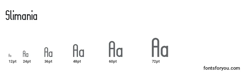 Slimania Font Sizes