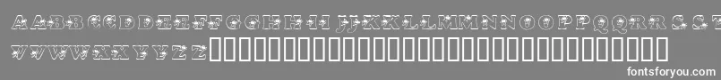 フォントKrHipStar – 灰色の背景に白い文字