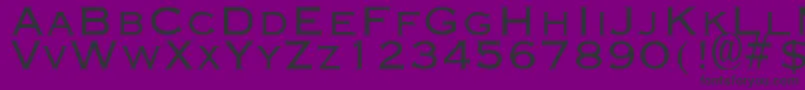 EngravingLight Font – Black Fonts on Purple Background