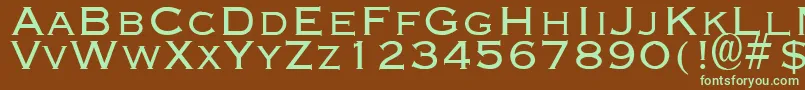 EngravingLight Font – Green Fonts on Brown Background