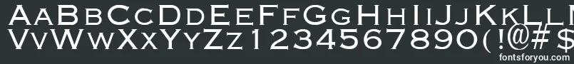EngravingLight-fontti – valkoiset fontit