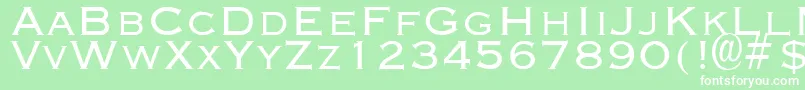 EngravingLight Font – White Fonts on Green Background