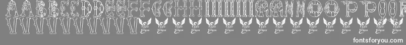 LibraryOfMinerva9thC. Font – White Fonts on Gray Background