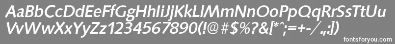 フォントSaxonyserialMediumItalic – 灰色の背景に白い文字