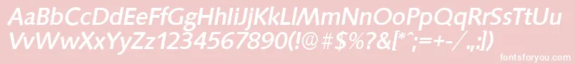 SaxonyserialMediumItalic Font – White Fonts on Pink Background