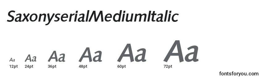 Размеры шрифта SaxonyserialMediumItalic