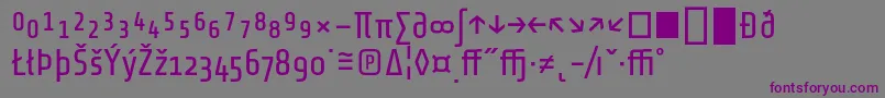 Шрифт ShareTechexp – фиолетовые шрифты на сером фоне
