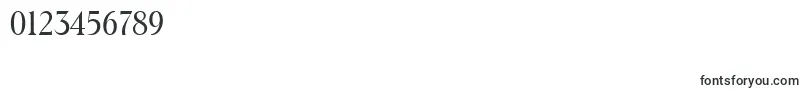 フォントToledoSerialRegularDb – 数字と数値のためのフォント