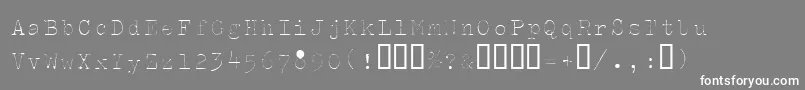 Splendidi Font – White Fonts on Gray Background