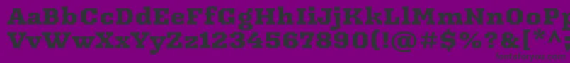 ArbutusRegular Font – Black Fonts on Purple Background