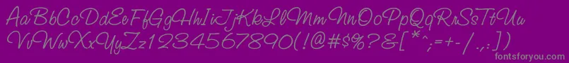 Studioscriptett-Schriftart – Graue Schriften auf violettem Hintergrund