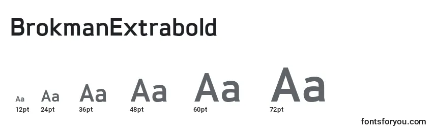BrokmanExtrabold Font Sizes