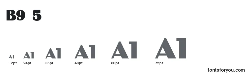 Binner Font Sizes