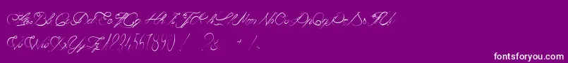 CaviarDeDiane-Schriftart – Weiße Schriften auf violettem Hintergrund