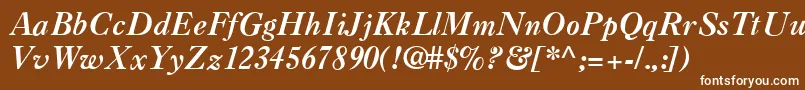 CasqueBoldItalic Font – White Fonts on Brown Background