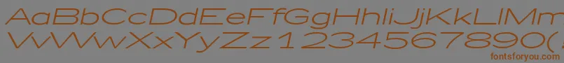 フォントZeppelin51Italic – 茶色の文字が灰色の背景にあります。