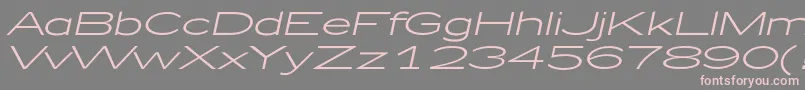 fuente Zeppelin51Italic – Fuentes Rosadas Sobre Fondo Gris