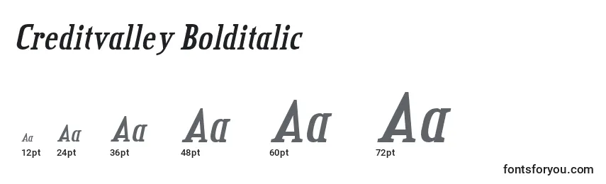 Размеры шрифта Creditvalley Bolditalic