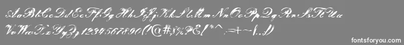 フォントTragedia – 灰色の背景に白い文字