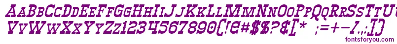 WinslettItalic Font – Purple Fonts on White Background