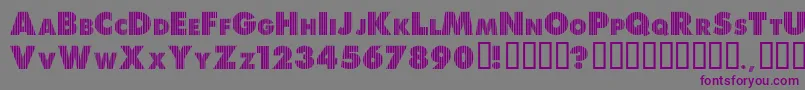 ShreddedForYou Font – Purple Fonts on Gray Background