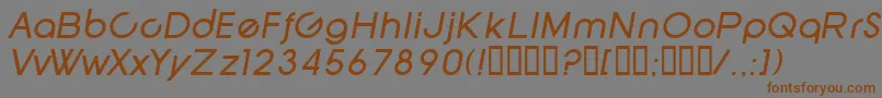 SfNewRepublicItalic Font – Brown Fonts on Gray Background