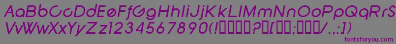 フォントSfNewRepublicItalic – 紫色のフォント、灰色の背景