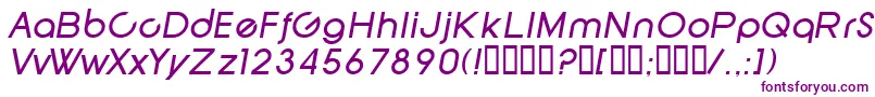 SfNewRepublicItalic Font – Purple Fonts