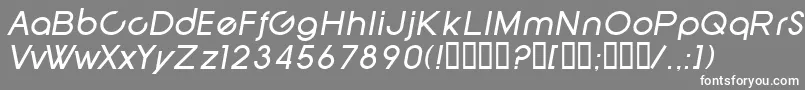 SfNewRepublicItalic Font – White Fonts on Gray Background