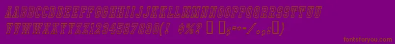 IntramuralContourItalicJl Font – Brown Fonts on Purple Background