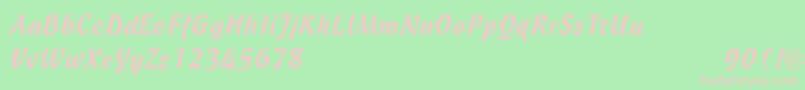 CantineLight Font – Pink Fonts on Green Background