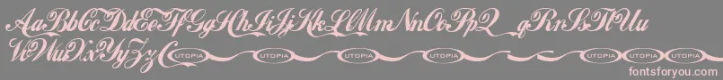 Lokicola Font – Pink Fonts on Gray Background