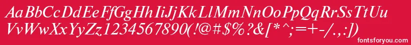 フォントNewtonettItalic – 赤い背景に白い文字