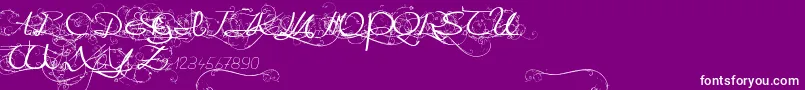 OneDayAfterRainRoses Font – White Fonts on Purple Background